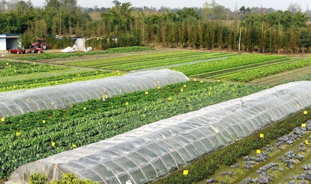 多利桃花源有机农庄,多利桃花源旅行