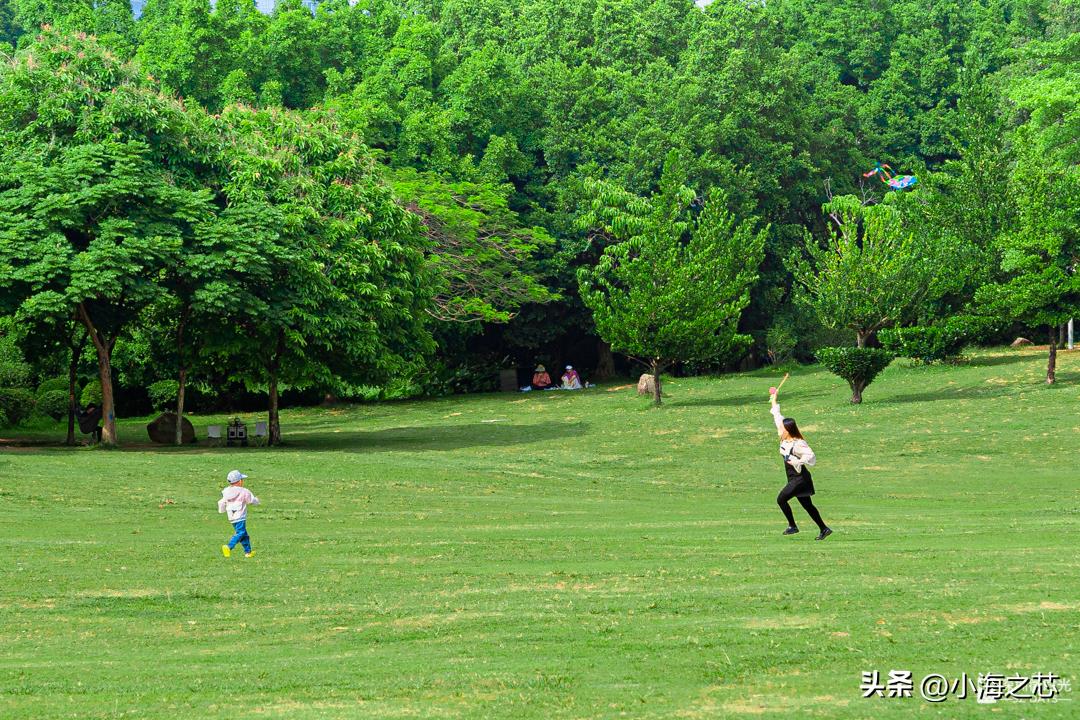 居家办公的深圳人，带薪躺平，不存在的