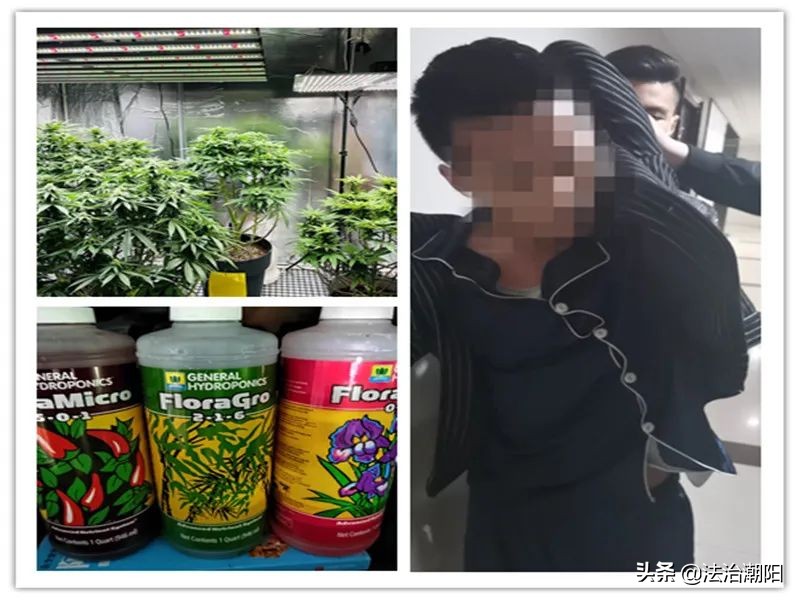 失眠睡不着怎么办？真正的助眠攻略进来瞧！