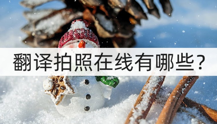 有没有比较好的拍照翻译软件,哪个英语拍照翻译软件最准确