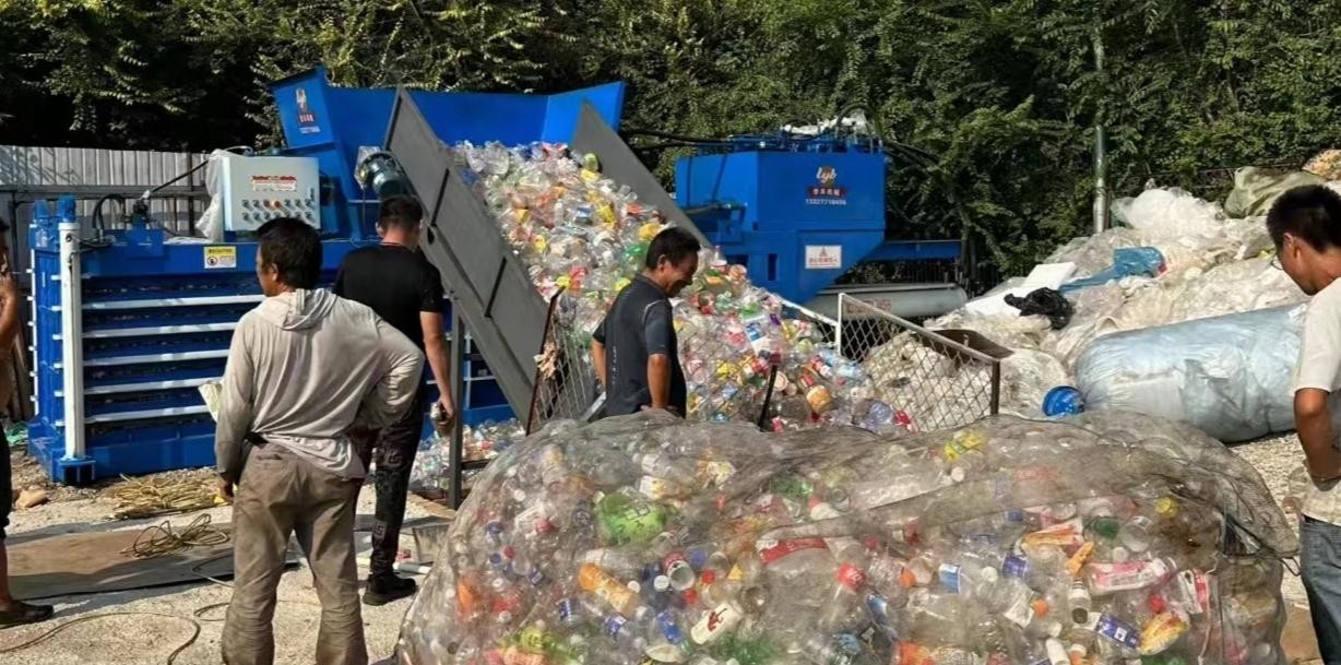 农村冷门暴利养殖商机,买卖虽小