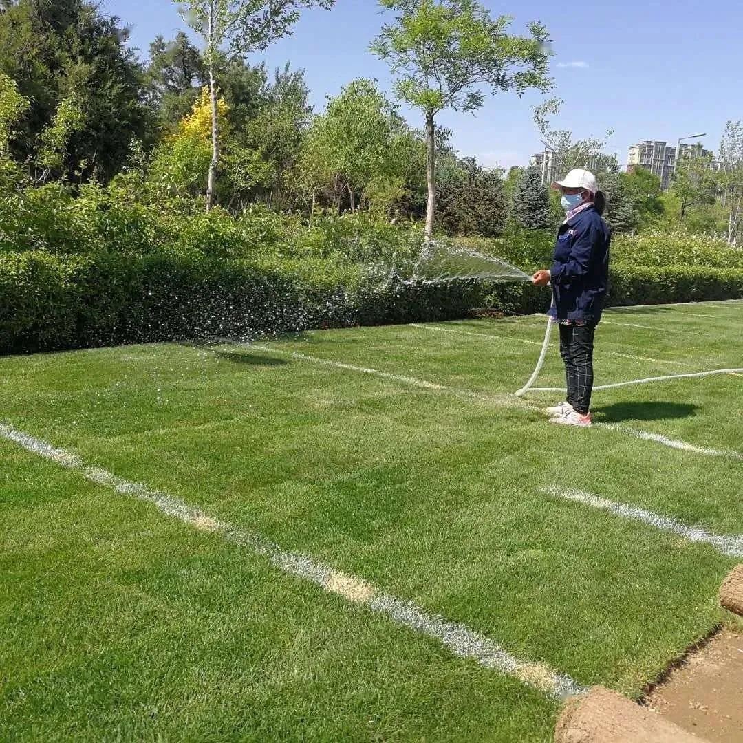 人造塑胶草坪足球场场地翻新,人造足球场草坪用什么维护和保养