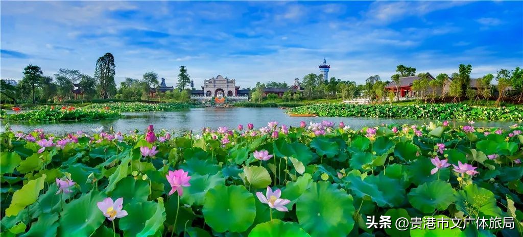 广西研学旅行推荐,2022广西研学旅行方案