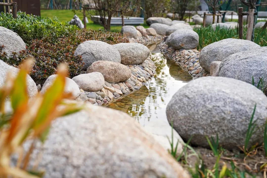 打了个样,南通现象级红盘