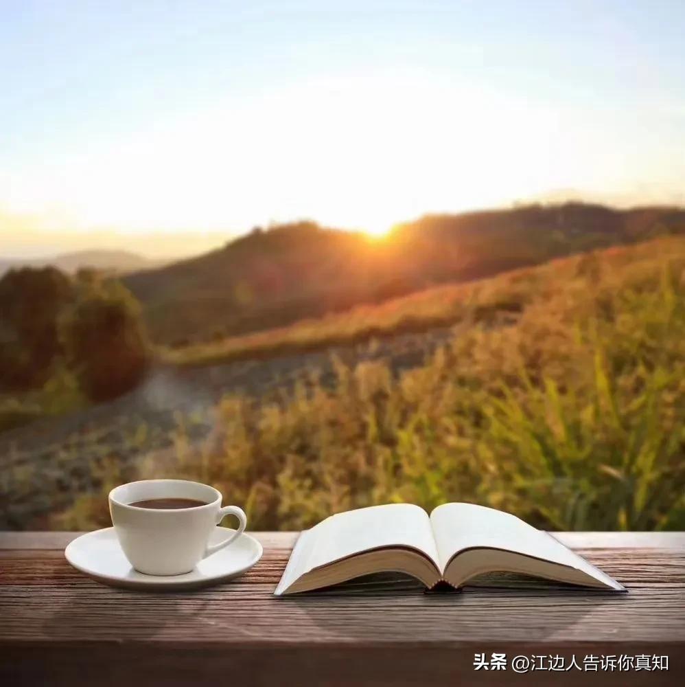 橄榄球和乒乓球哪个著名,乒乓球发展史英文介绍