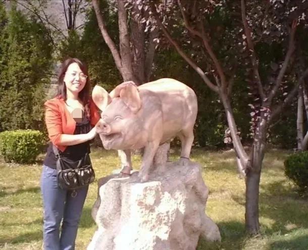 一只腊月猪的宿命