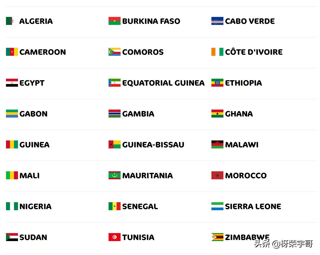 足坛重要赛事非洲国家杯喀麦隆开赛