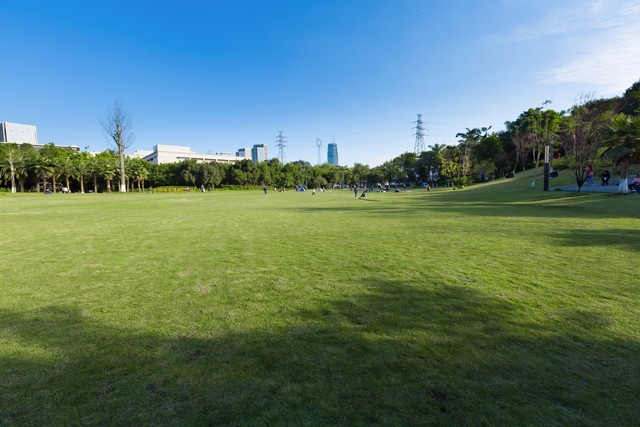 一回家就被安排相亲,被父母逼去相亲该怎么办