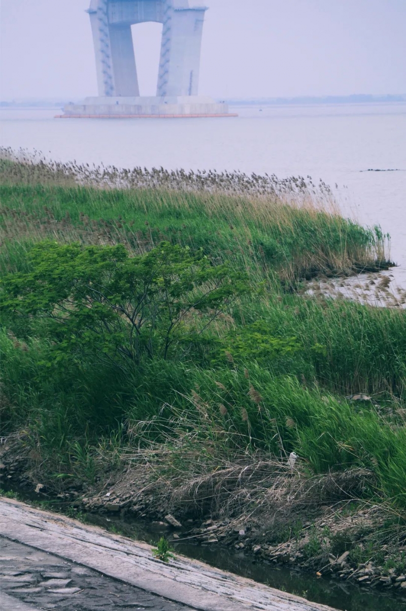 《张家港》，一部自带热度的电影