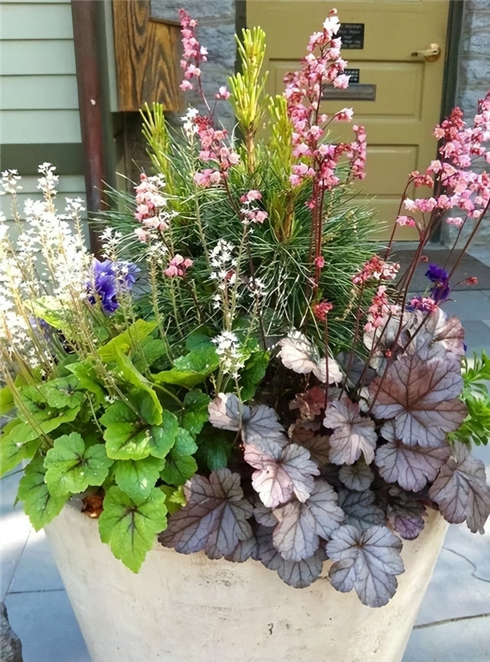 客厅好看的观赏花,小清新唯美油画花