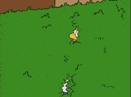 为什么会有花柳病,解密花柳病