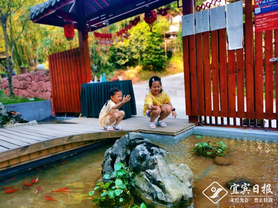 蜀南竹海栖竹民宿价格,蜀南竹海民宿项目简介