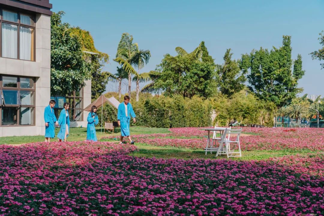 昆明周边神仙秘境,藏在昆明市内的神仙秘境