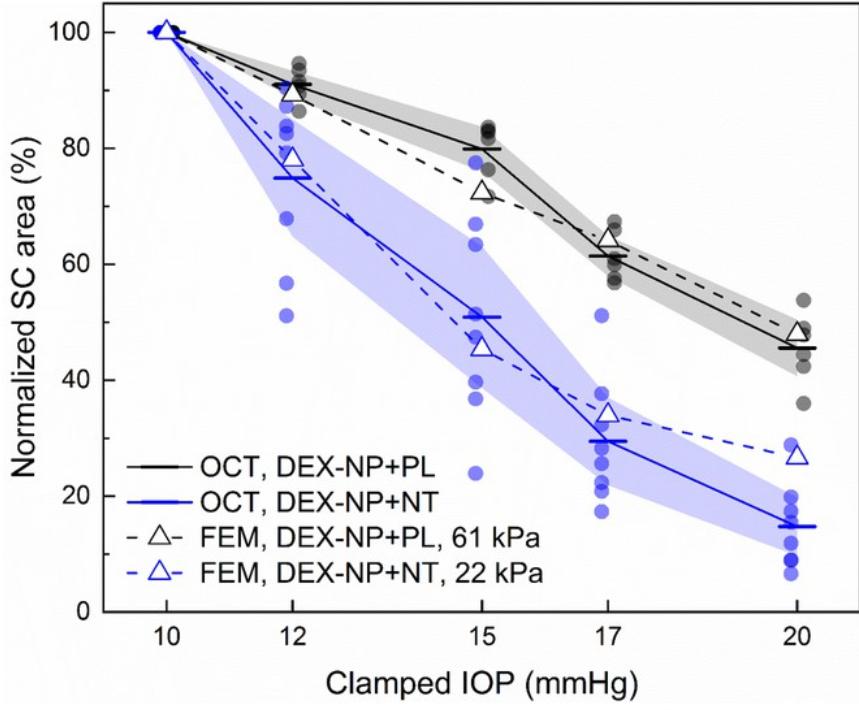 rho激酶抑制剂多少钱,rho激酶抑制剂是什么