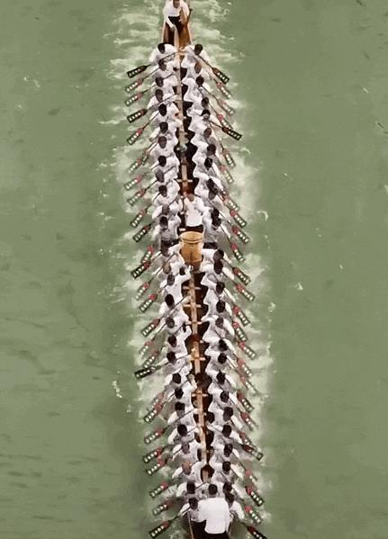 1场比赛3000万！端午最火运动，为何在广东封神？