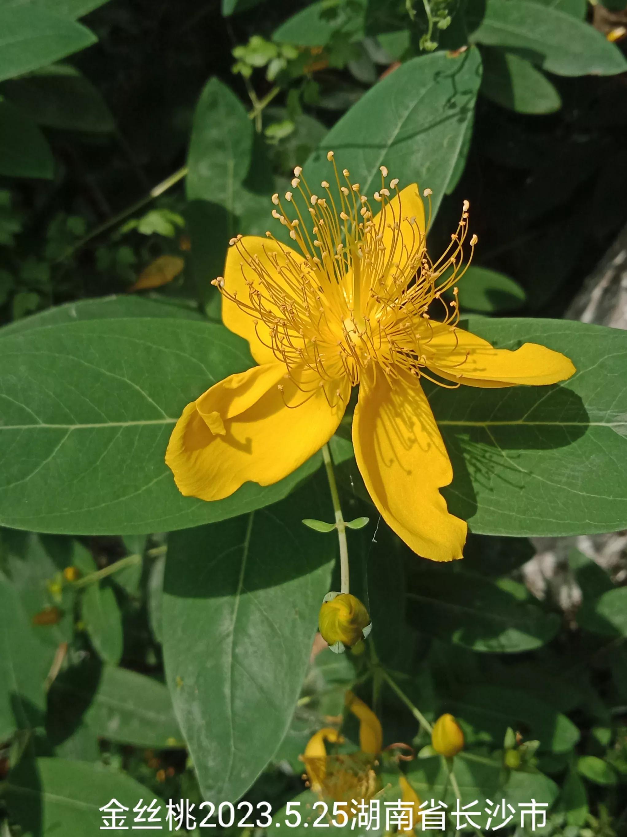 微信群没有保存下来怎么找回来,怎么找回没保存的微信群