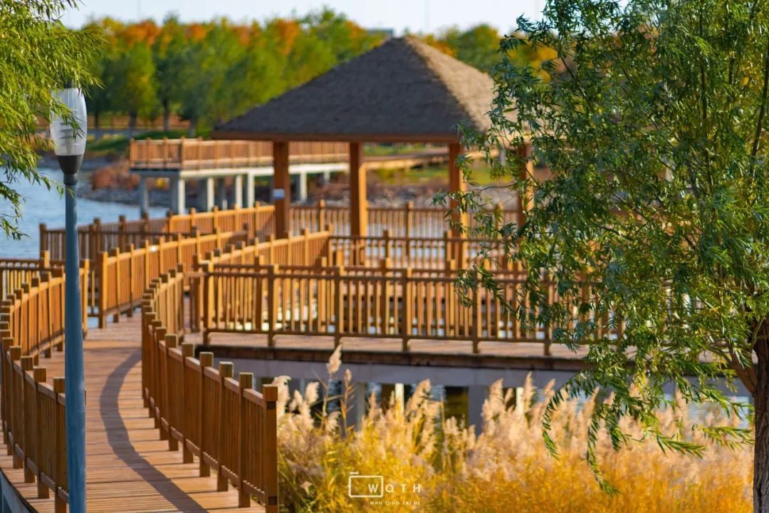 生态城城市公园,规划生态体育公园