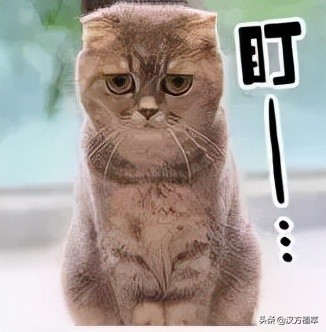 冬天来了皮肤红好痒,冬天来了脸上干燥