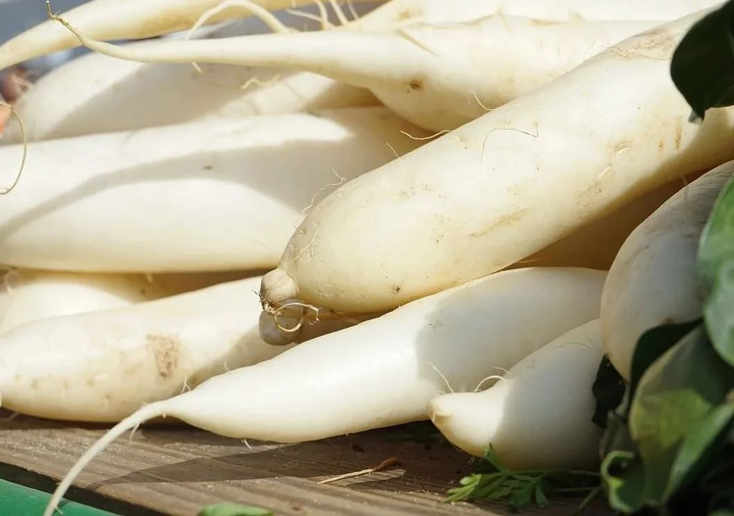 肝硬化出现结节肝硬化还能逆转吗,肝硬化干细胞移植能逆转肝硬化吗