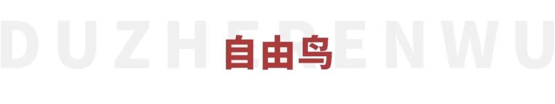 穿粉色“丑”上热搜，一首歌封神13年：她越疯，就越火
