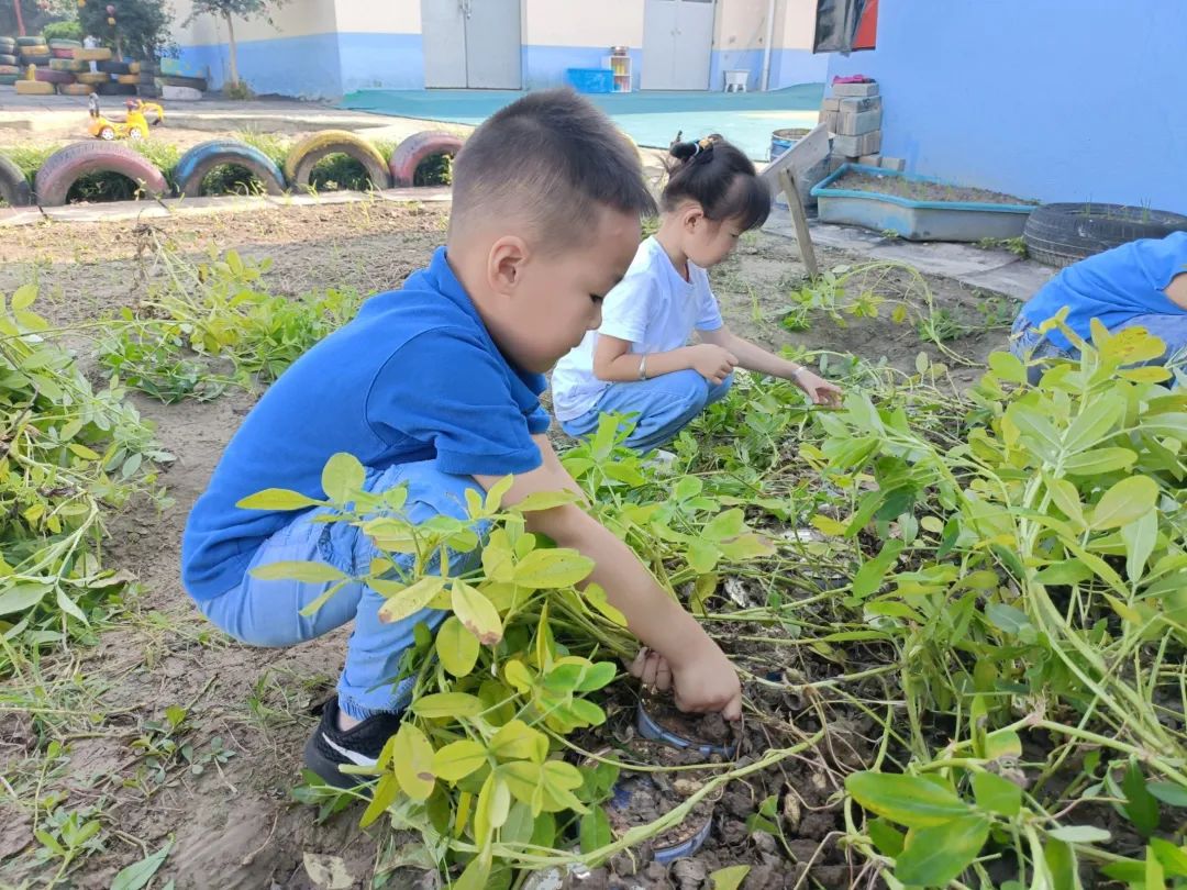 潮信幼儿园招生,如东县掘港幼儿园招生政策