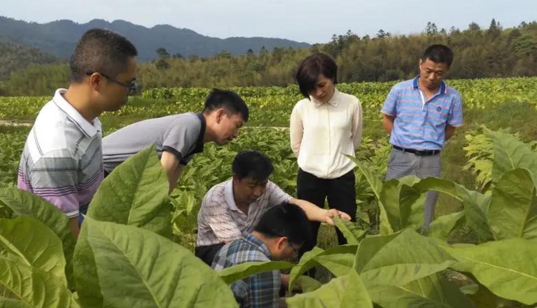 专科适合的国企招聘,待遇不错适合大专的国企