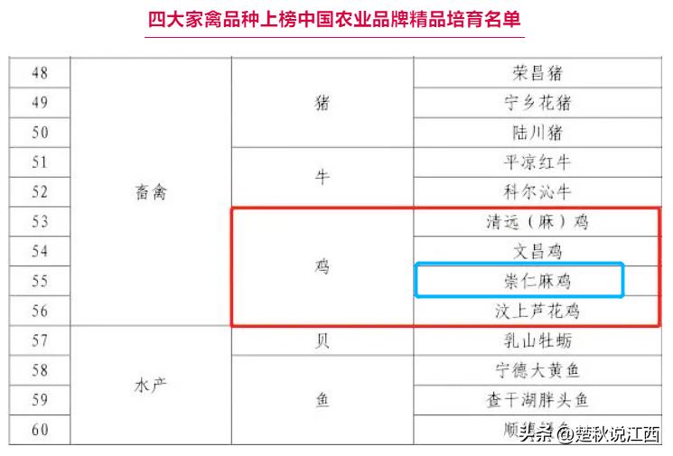 江西的麻鸡,江西拥有中国什么之乡的美称