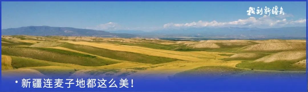 入疆旅游攻略,环疆旅游攻略大全