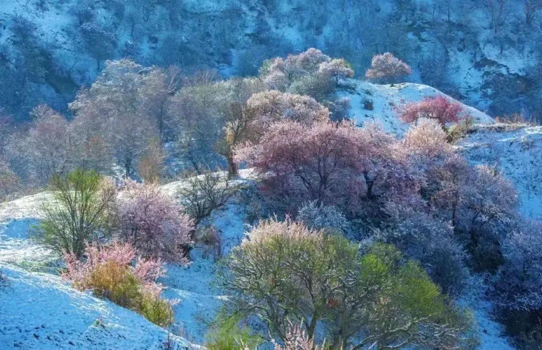 今日大雪飘落诗词,今日大雪优美句子
