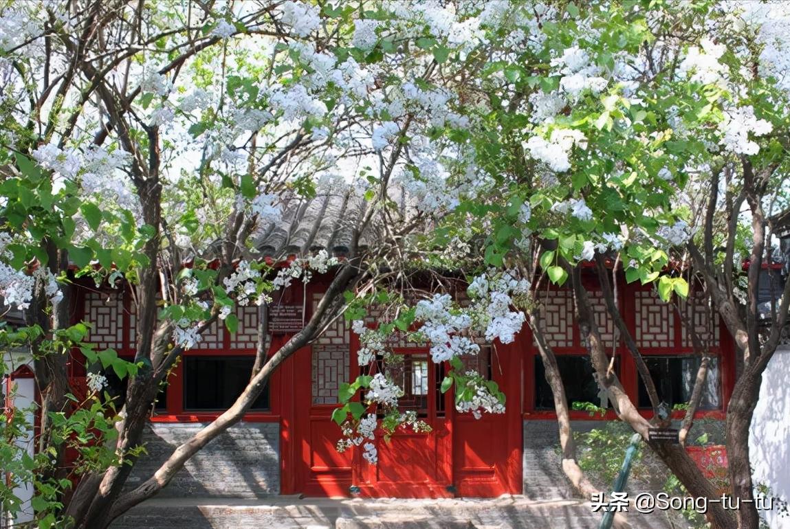 北京国家博物馆哪些值得打卡,北京市国家一二三级博物馆名单