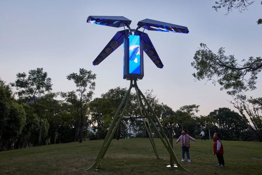 深圳香蜜公园参观指引,深圳光影艺术季攻略