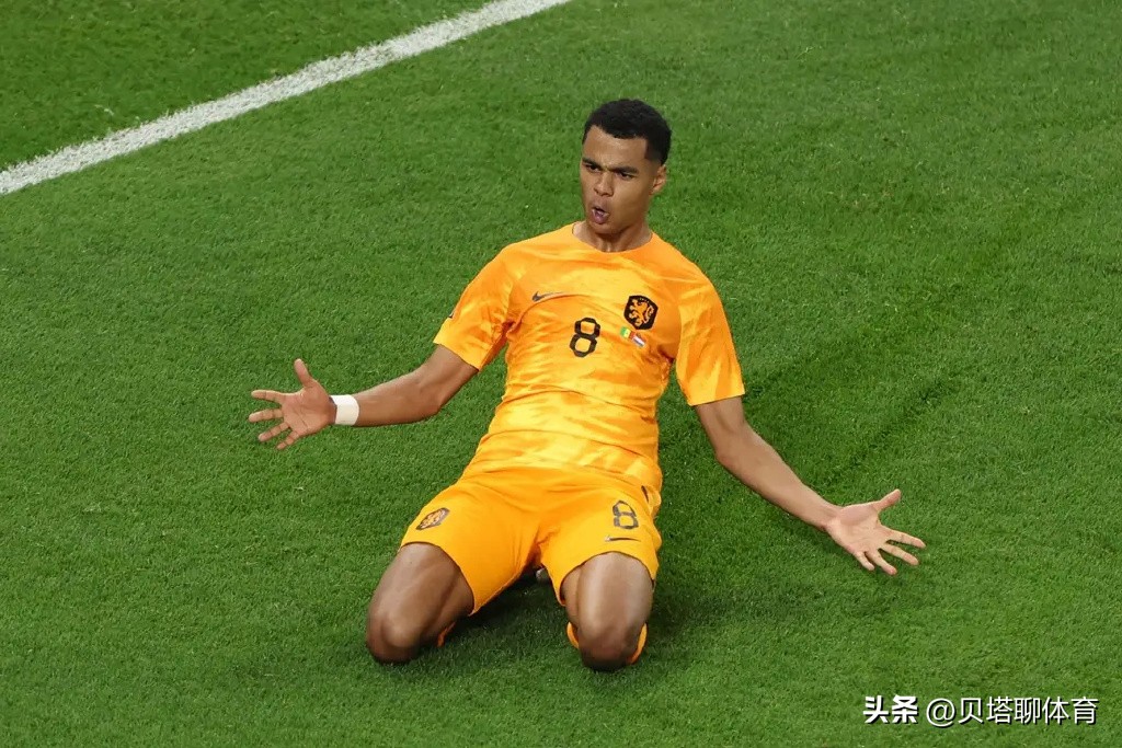 京媒名记：荷兰2-0走不远！斯内德和罗本接班人，是德容和加克波