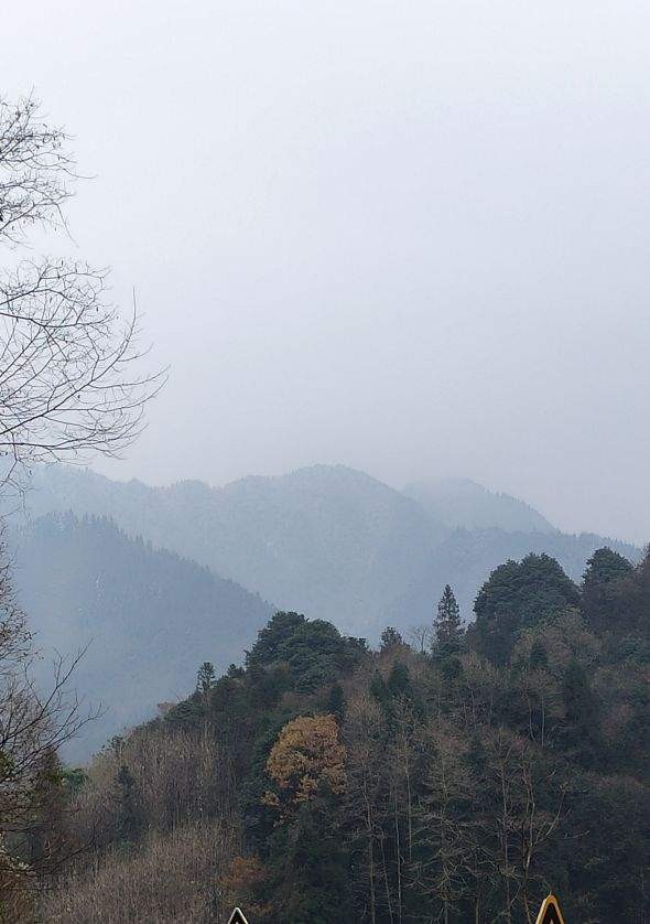 当年的钓点早已无鱼可钓，但鱼就在水中，真正的垂钓者都能看见