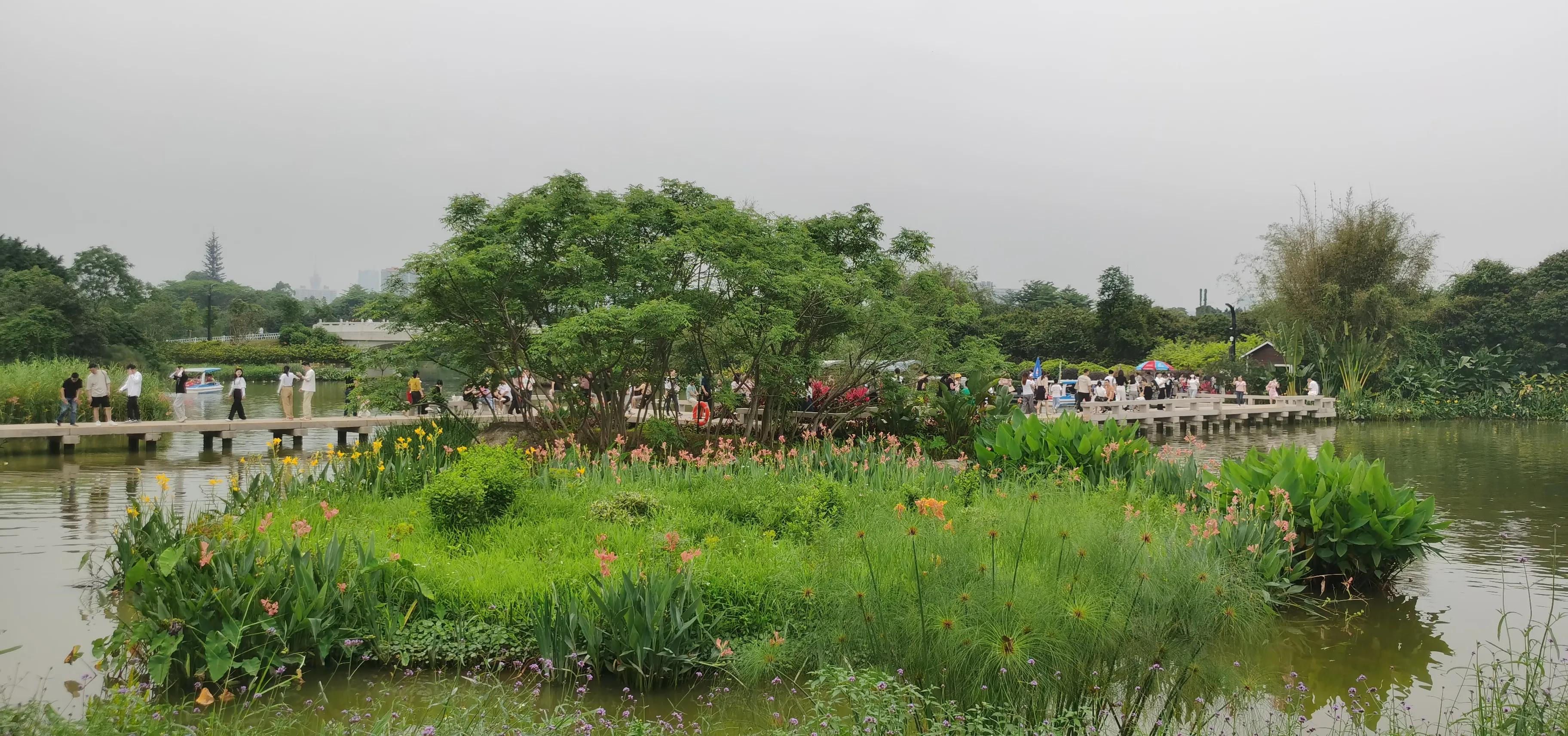 海珠湖湿地公园观鸟,海珠湖湿地公园地图