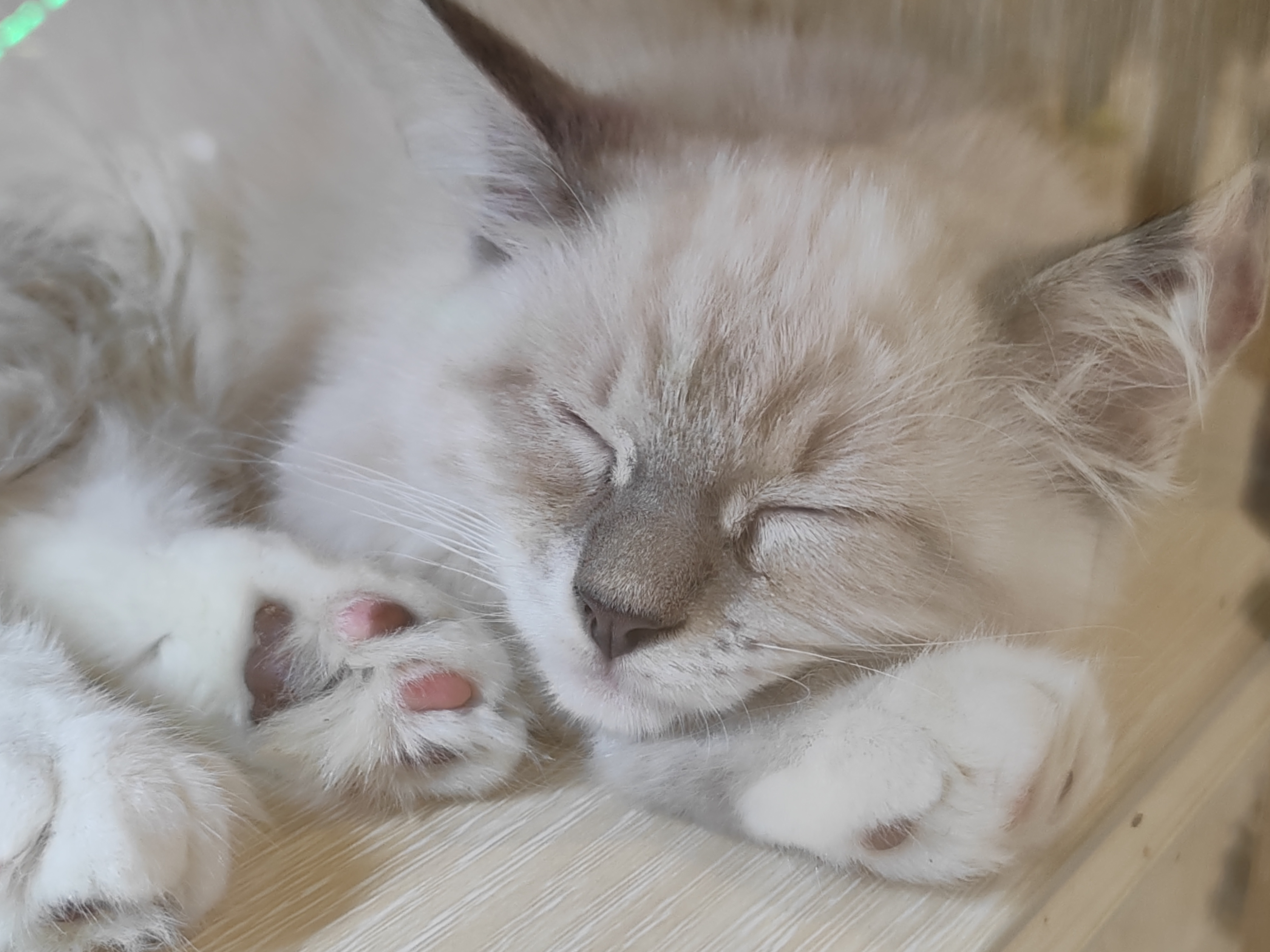 买荣耀80gt还是等90gt,荣耀90gt与80gt续航对比