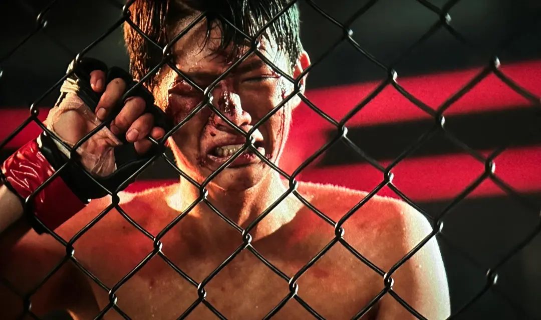 王宝强的八角笼中票房突破几亿,王宝强的八角笼中票房破多少了