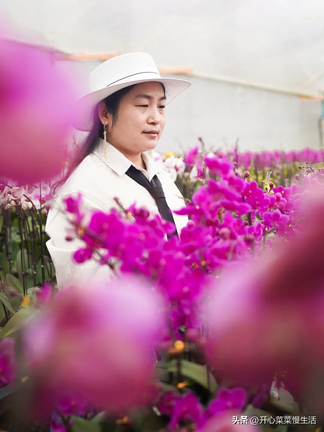 广东普宁有个万花园，由68座小花园组成，编织了农民美丽之梦