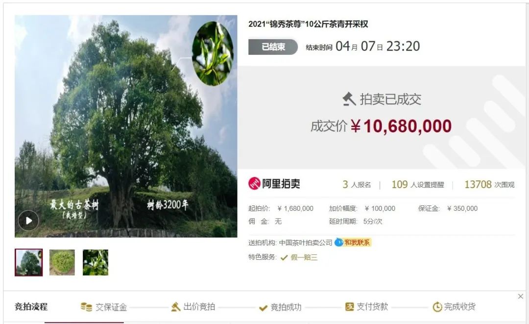 对标1068万“锦绣茶尊”的茶叶，是什么味？