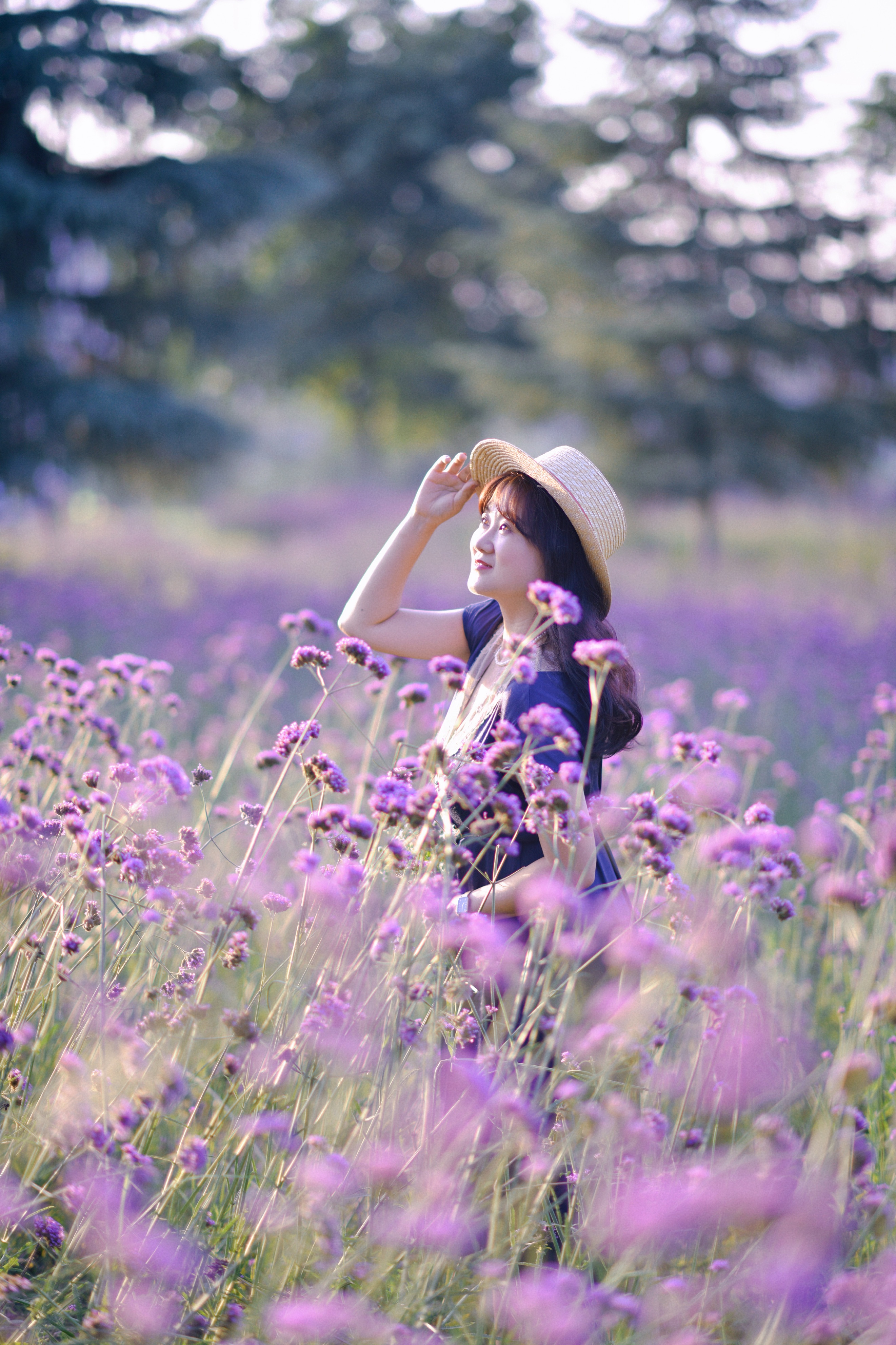 重庆市赏花胜地游玩线路,重庆渝北周边赏花地点推荐