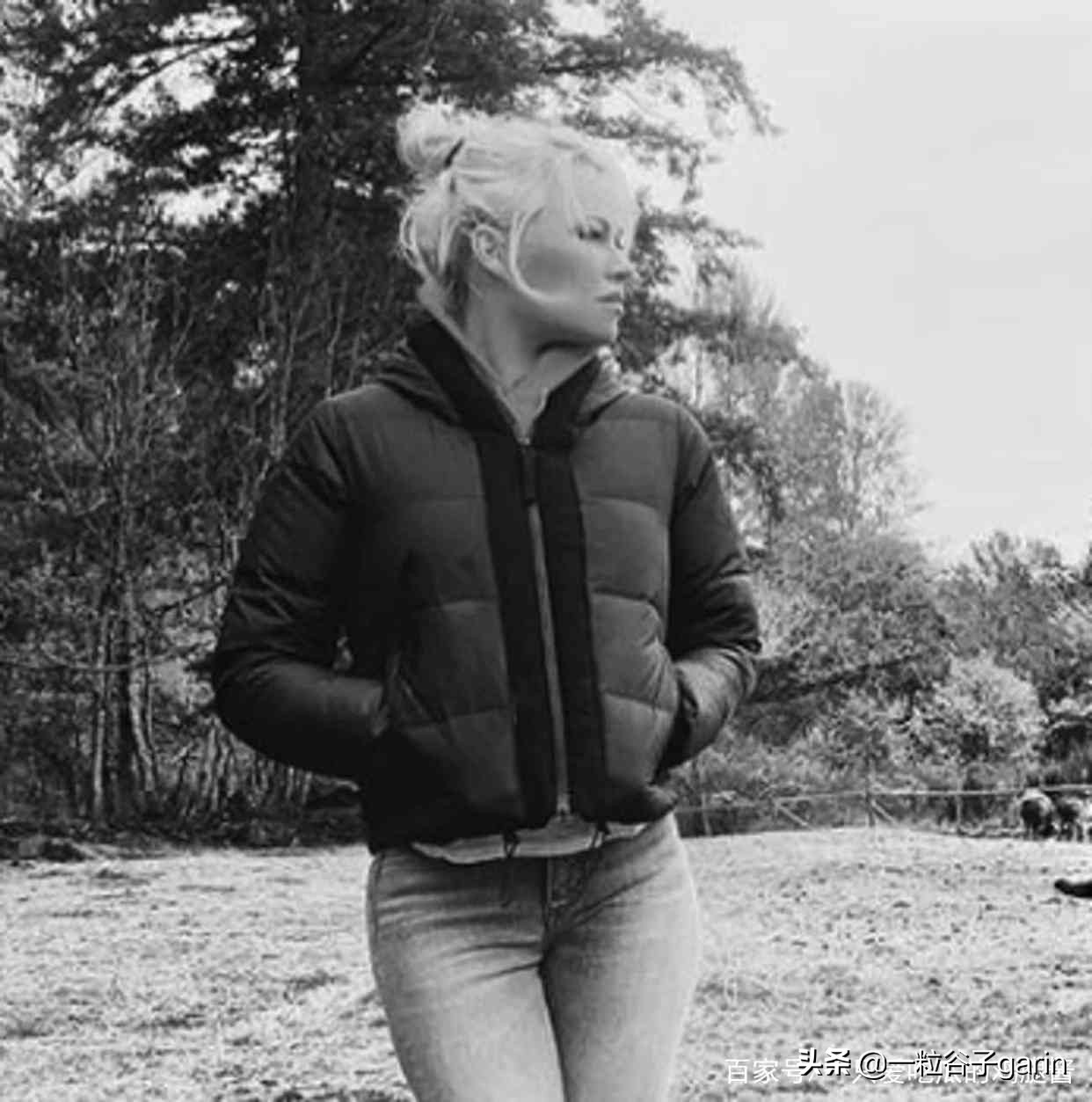 2020年分手的情侣名单,2022年情侣分手数据统计