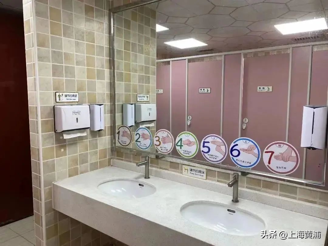 世界厕所日要做什么,世界厕所日