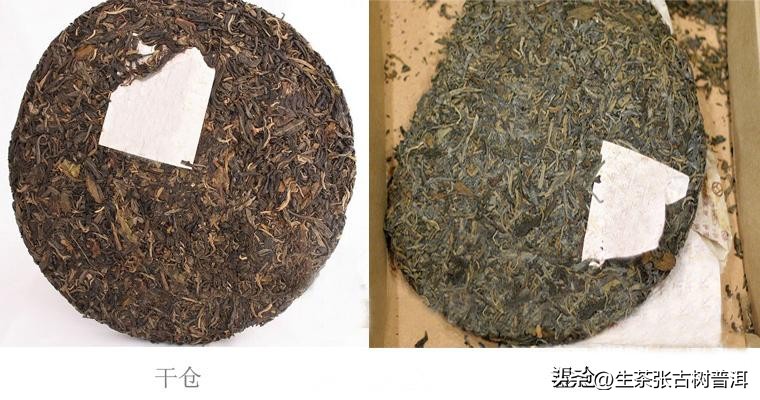 普洱茶知识100字左右,关于普洱茶的知识大全书籍有哪些