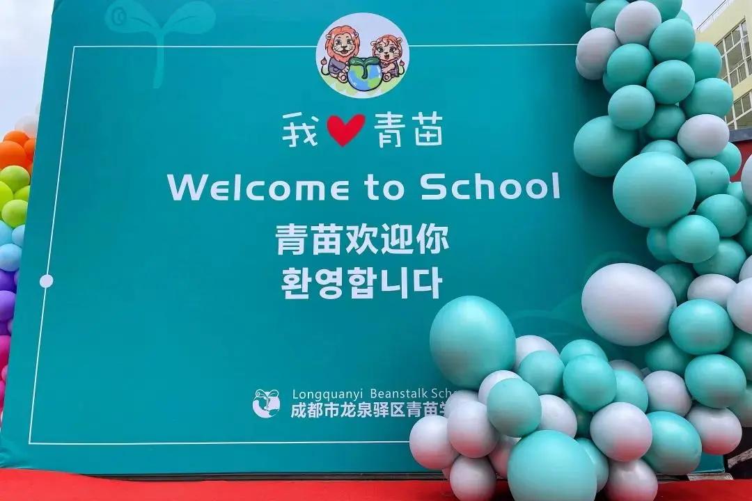 步履铿锵，行稳致远！青苗的2021年，精彩动人