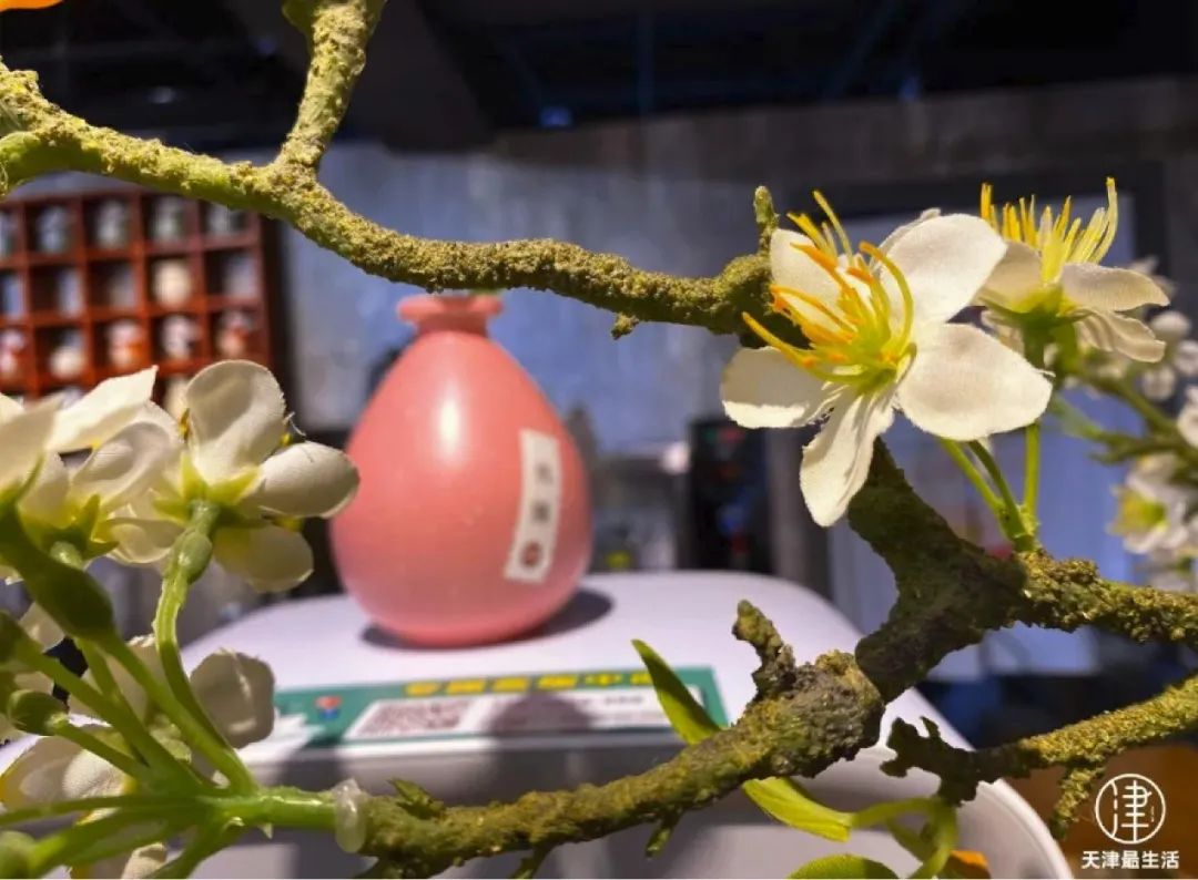 谁把“故宫”搬进天津?人均50元+,请客聚会也太有排面吧……