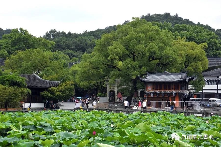 历史最悠久的小学排名,世界上最古老的小学