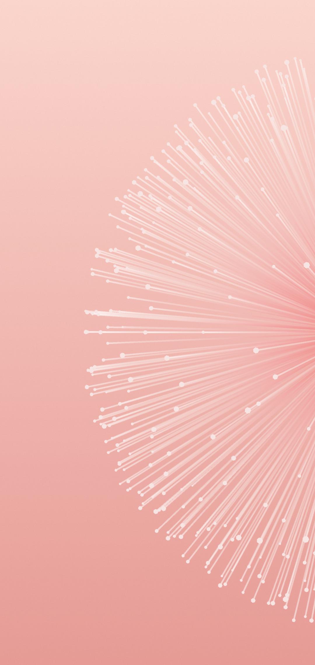 蝴蝶结亮晶晶壁纸,亮晶晶的壁纸