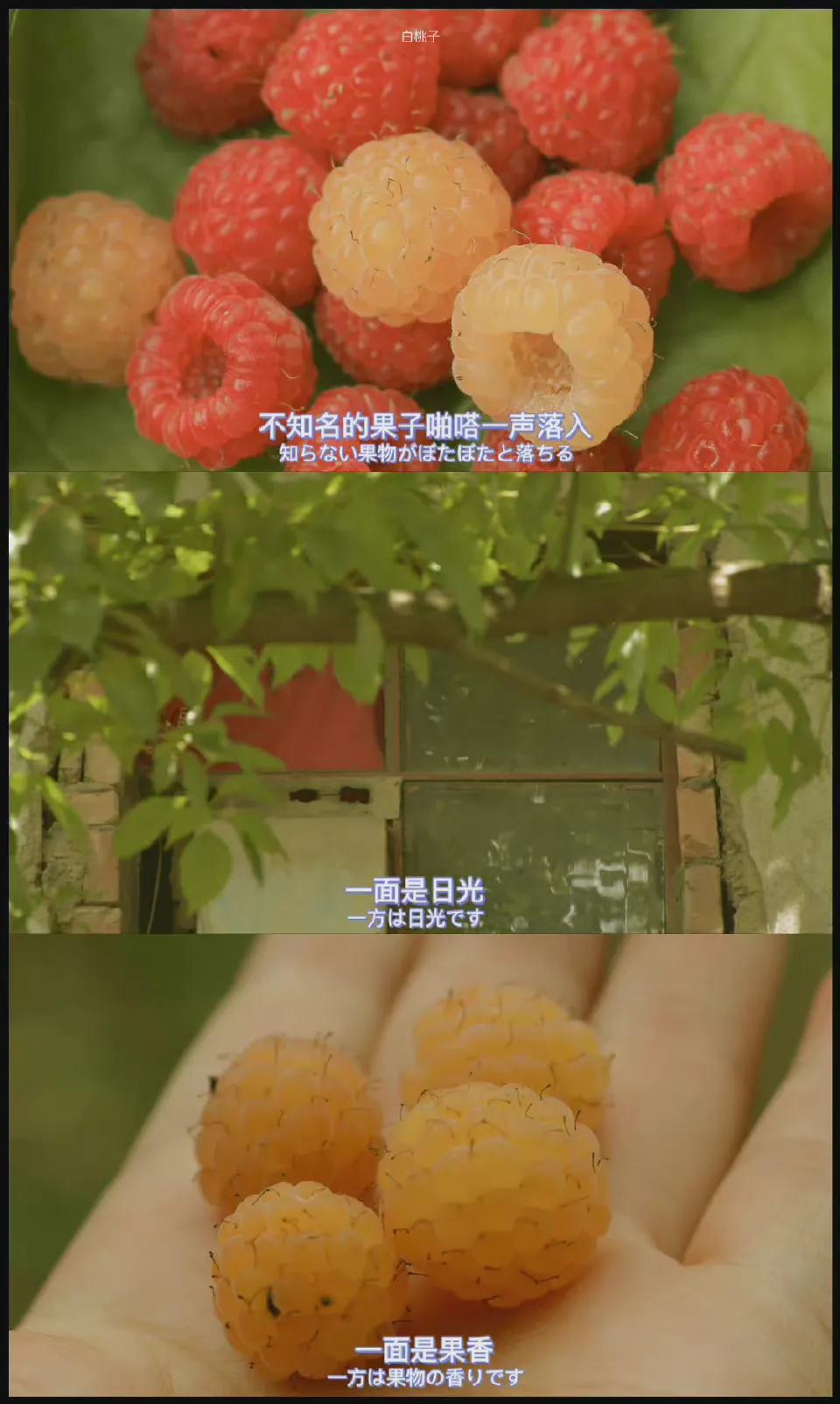 夏天风景壁纸高清全面屏,夏天图片唯美风景壁纸