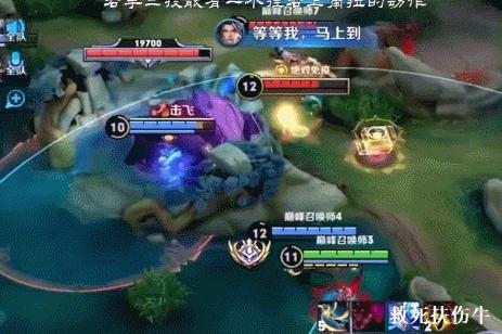 王者荣耀新之助为什么火了,王者荣耀新之助是职业选手吗