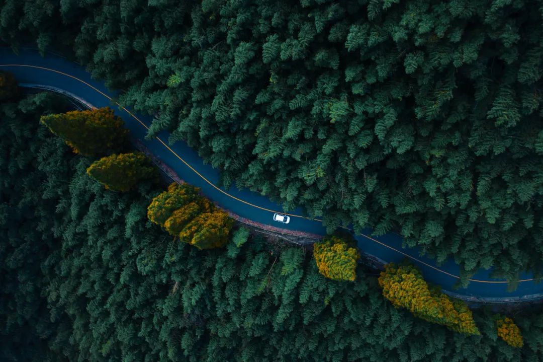 摄影师顾光辉：把爱好变成技能，摄影需要一种执着