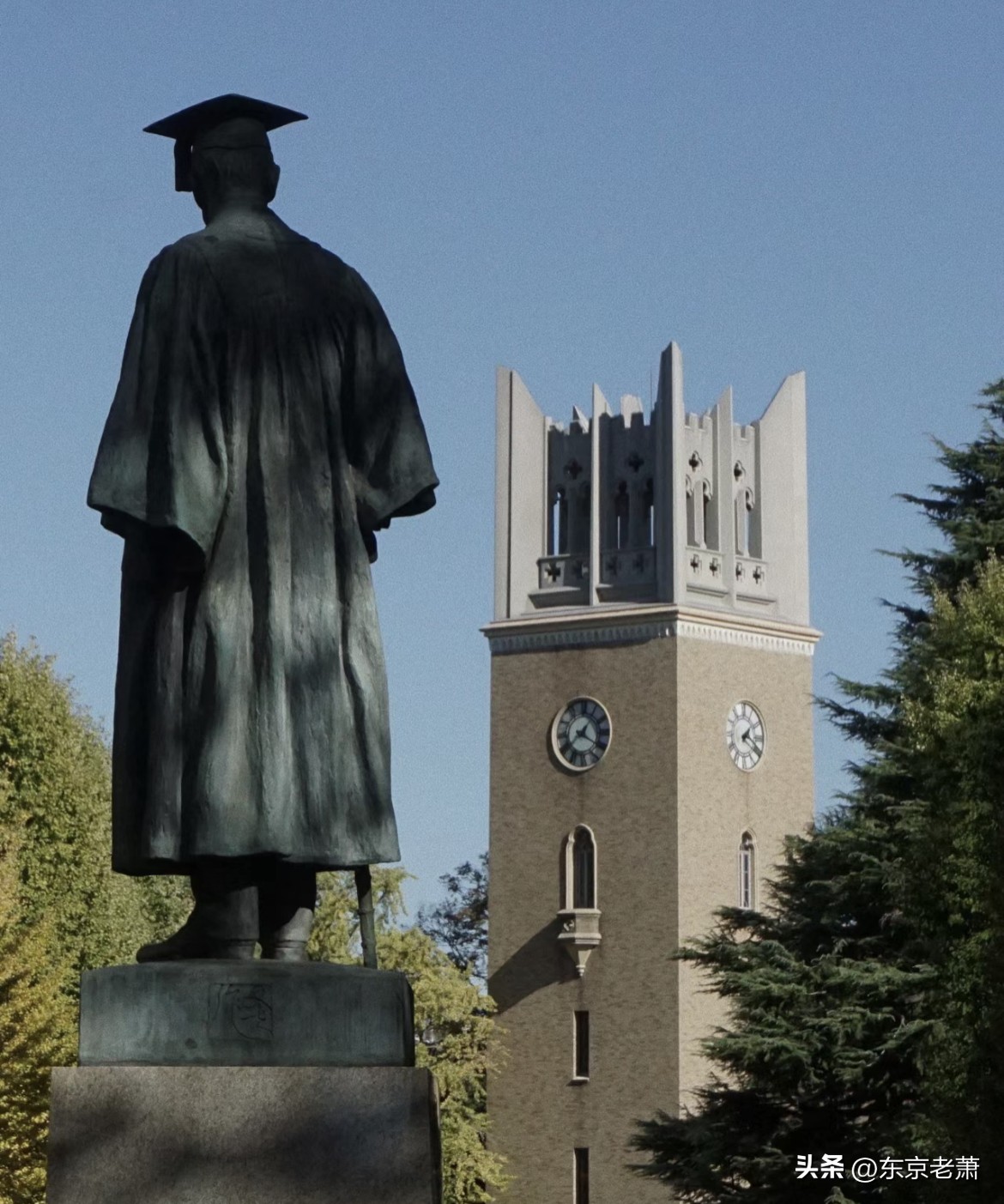 怎么选择适合孩子的国际学校,国际学校怎么学中文